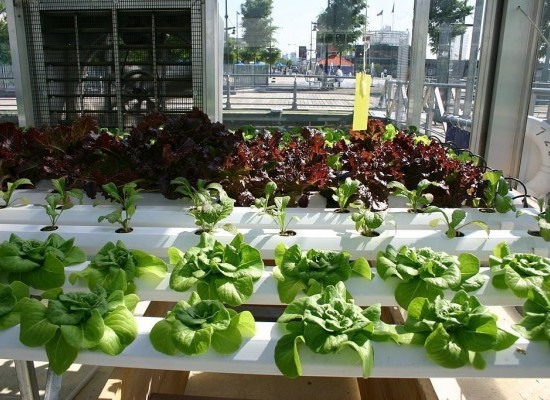 Top Camper Trailer Towing Tips