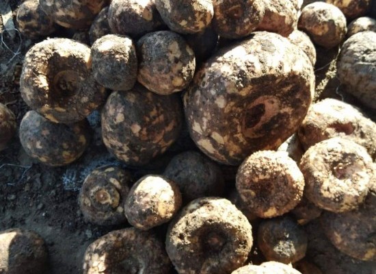 Top Camper Trailer Towing Tips