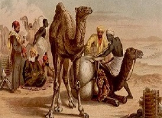 Top Camper Trailer Towing Tips