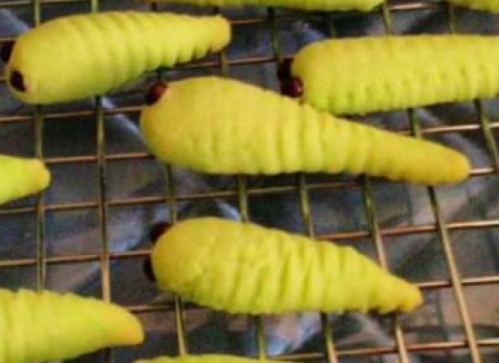 Top Camper Trailer Towing Tips