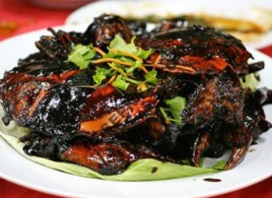 Top Camper Trailer Towing Tips